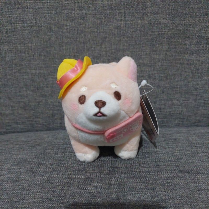 ganci shiba sk japan