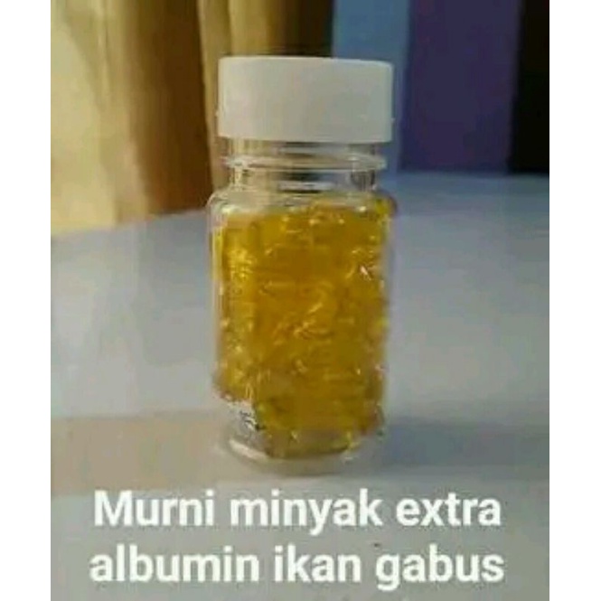 minyak albumin ikan gabus