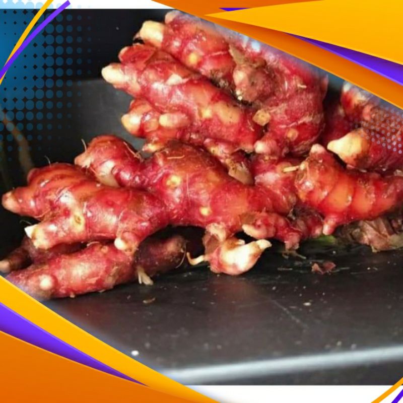 

jahe merah segar asli herbal 500g