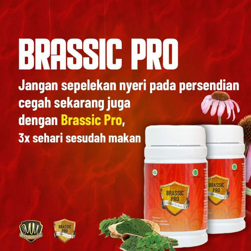 Brassic Pro 100% Original isi 40 Kapsul