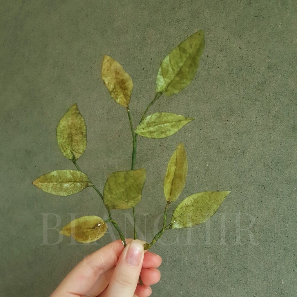 Wafer Paper Daun | Wafer Paper Leaves | Wafer Paper Branches | Wafer paper bunga | Wafer paper flowe