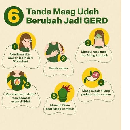 

obat asam lambung maagh paling ampuh herbal