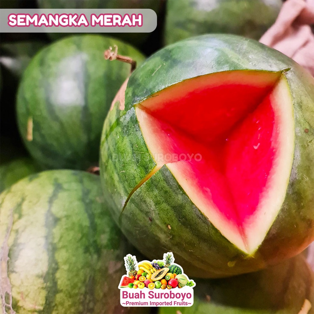 

Semangka Merah