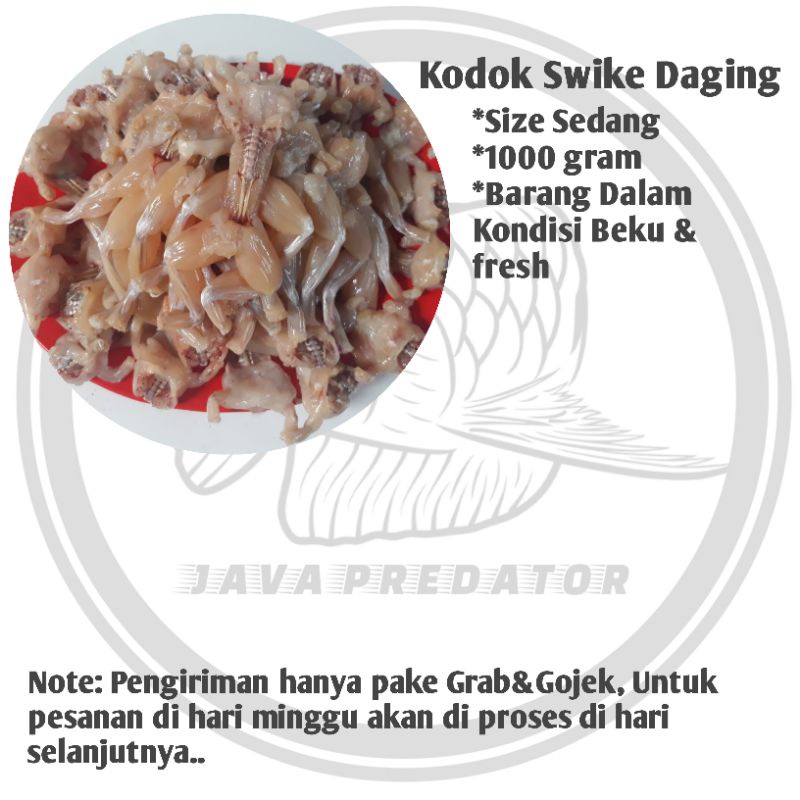 

Daging swikke kodok sawah size sedang
