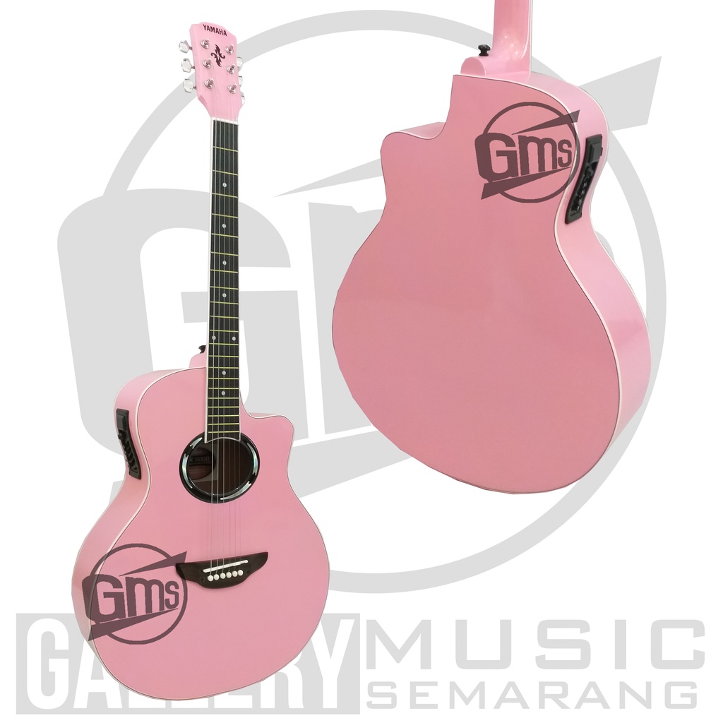 Gitar Akustik Elektrik APX 500II Custom Standart Paket Super Komplit