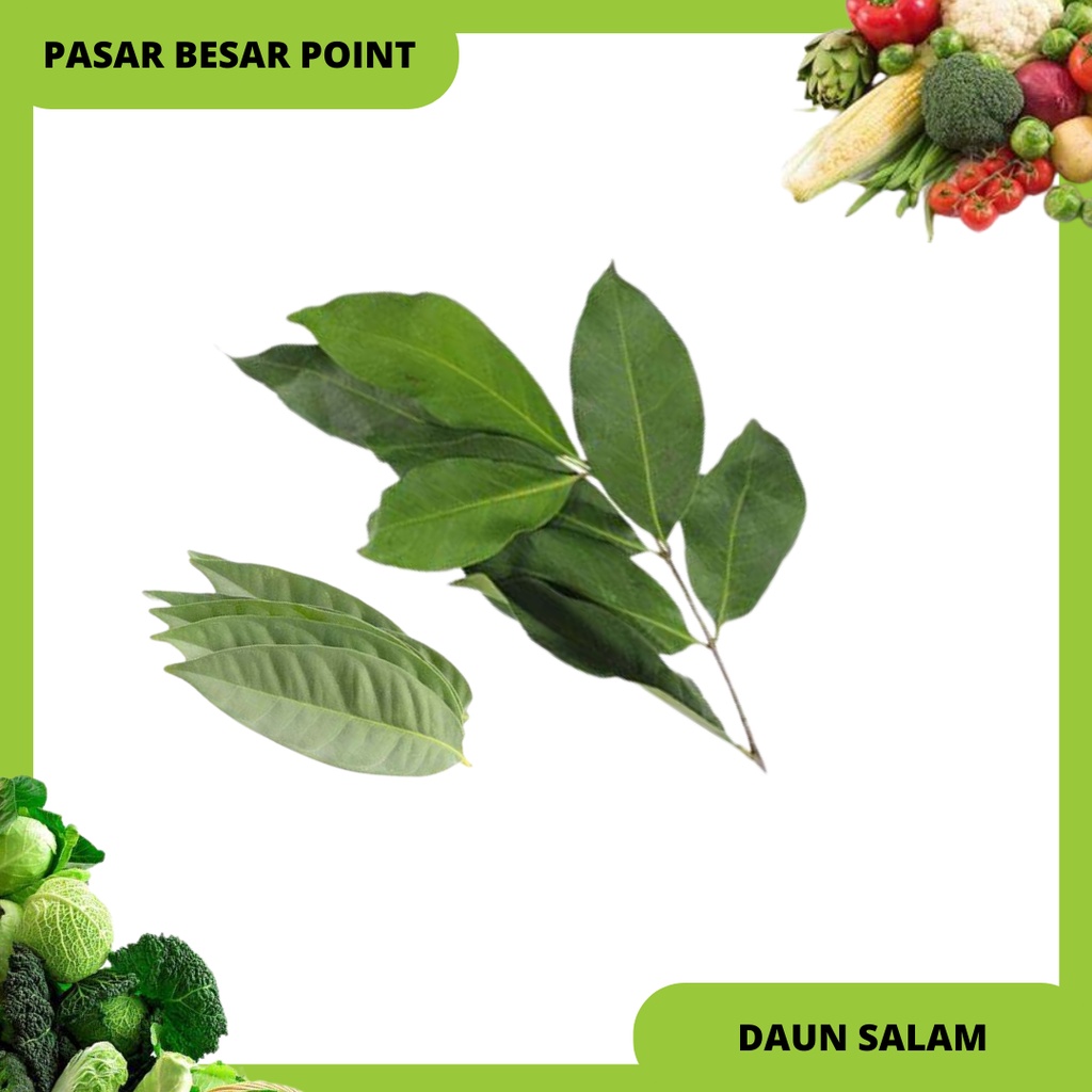 

daun salam