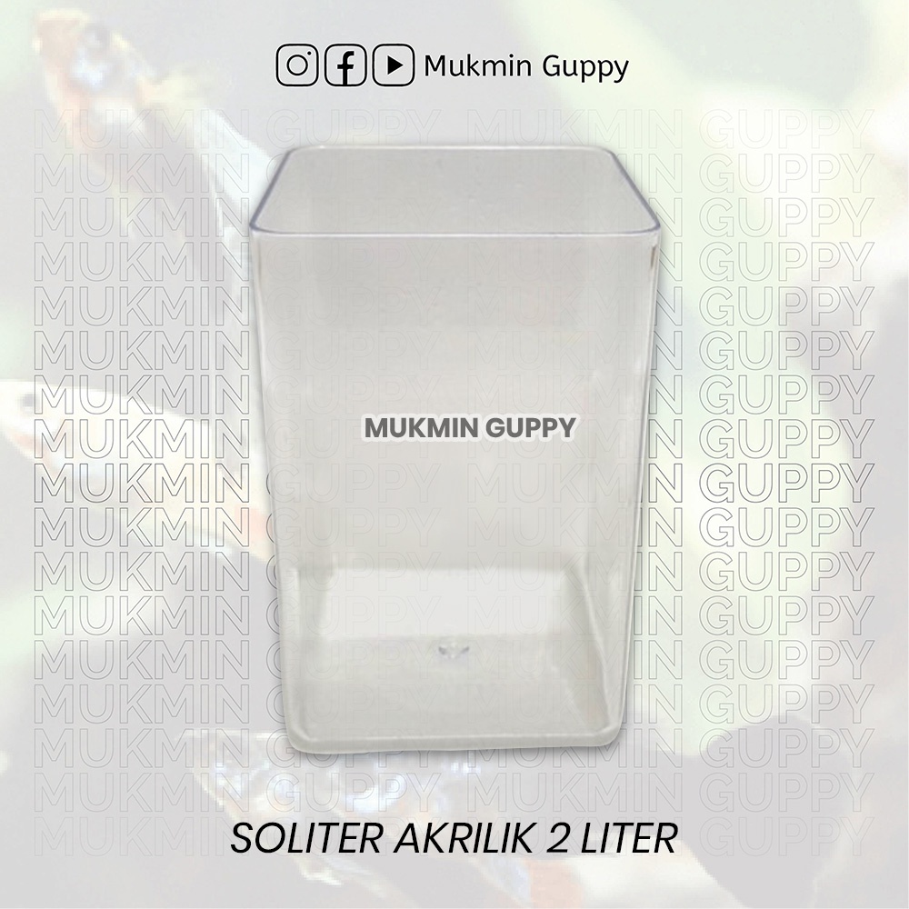 Toples / Soliter Akrilik Guppy, Cupang, Molly 2 Liter