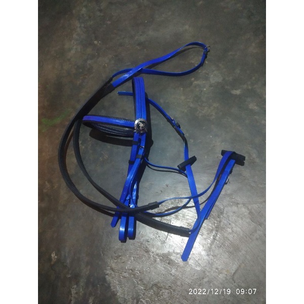 bridle import