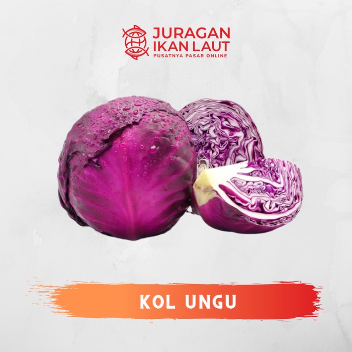 

Kol Ungu Segar Berkualitas