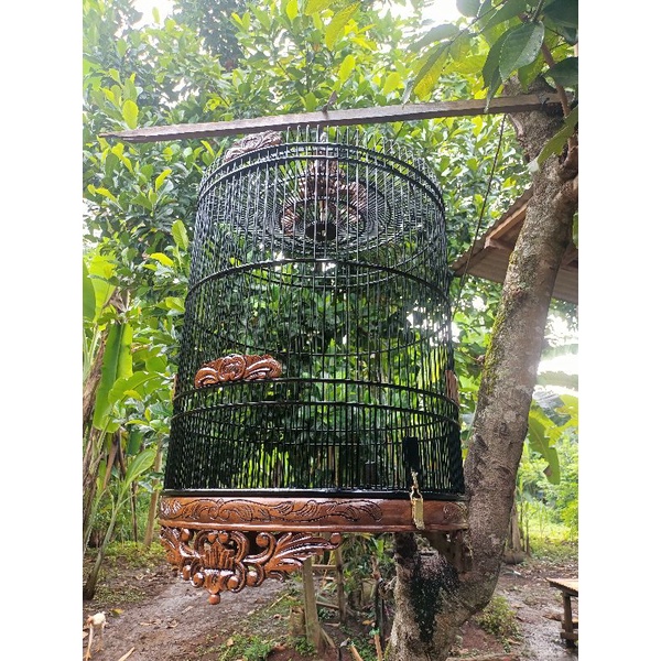 sangkar burung ukir sangkar murai Kacer bulat no 4