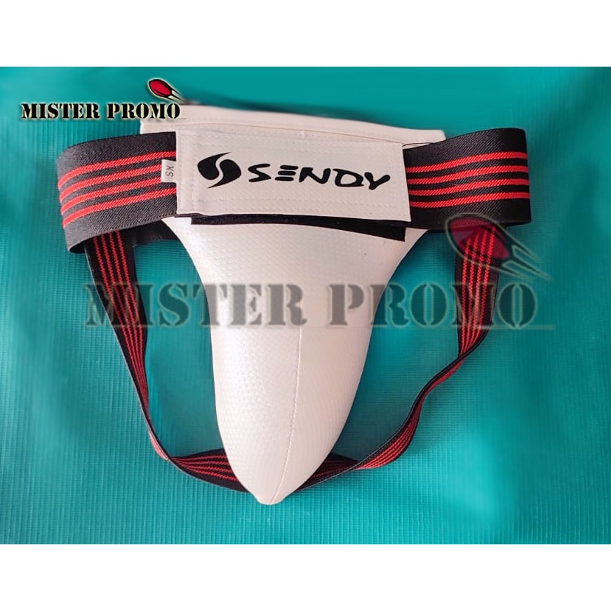 Jual Groin Guard Shinca Male Pelindung Kemaluan Pria Sendy Taekwondo