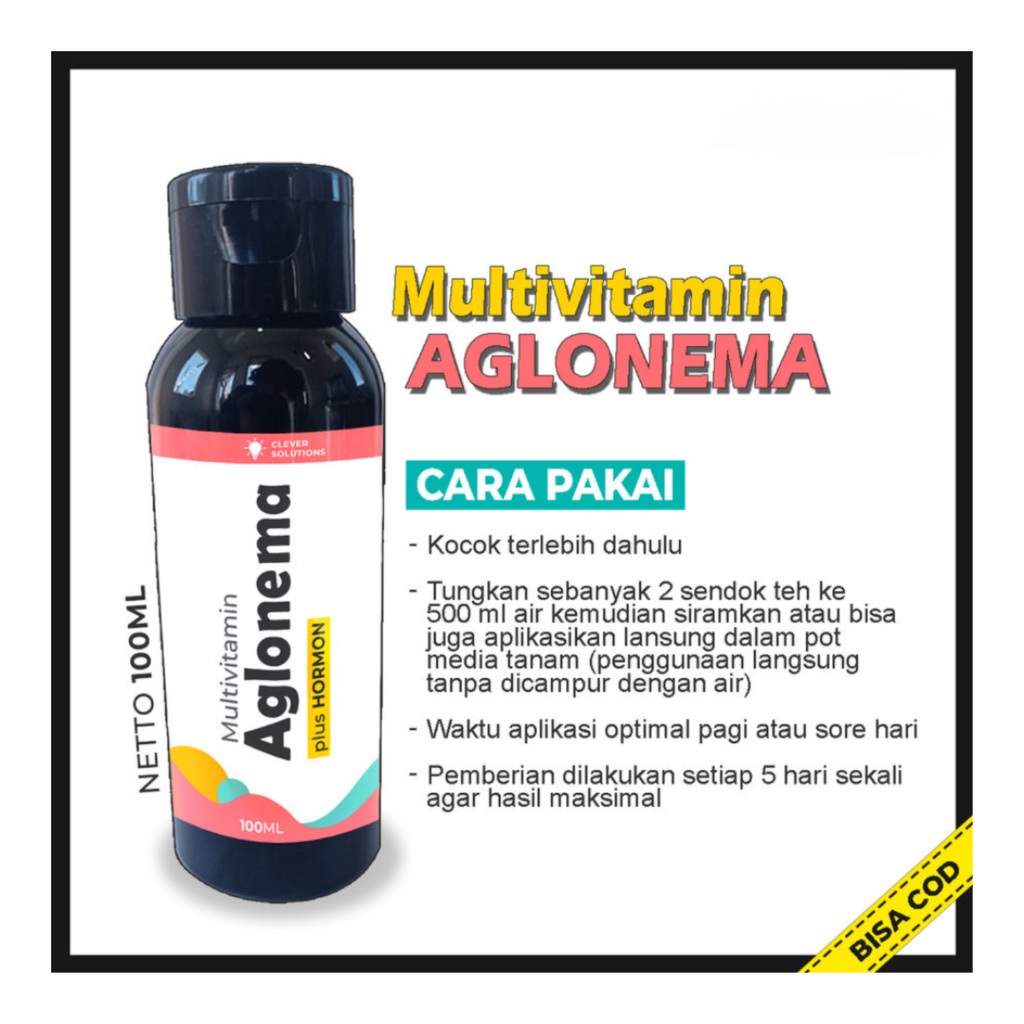 Pupuk AGLONEMA Multivitamin Aglonema Penggemuk dan Penumbuh Tunas Aglonema / Pigmentasi Warna Aglonema [ CS ]