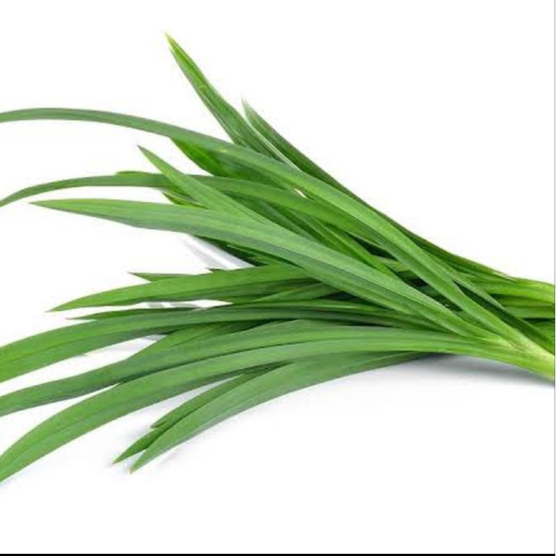 

daun pandan