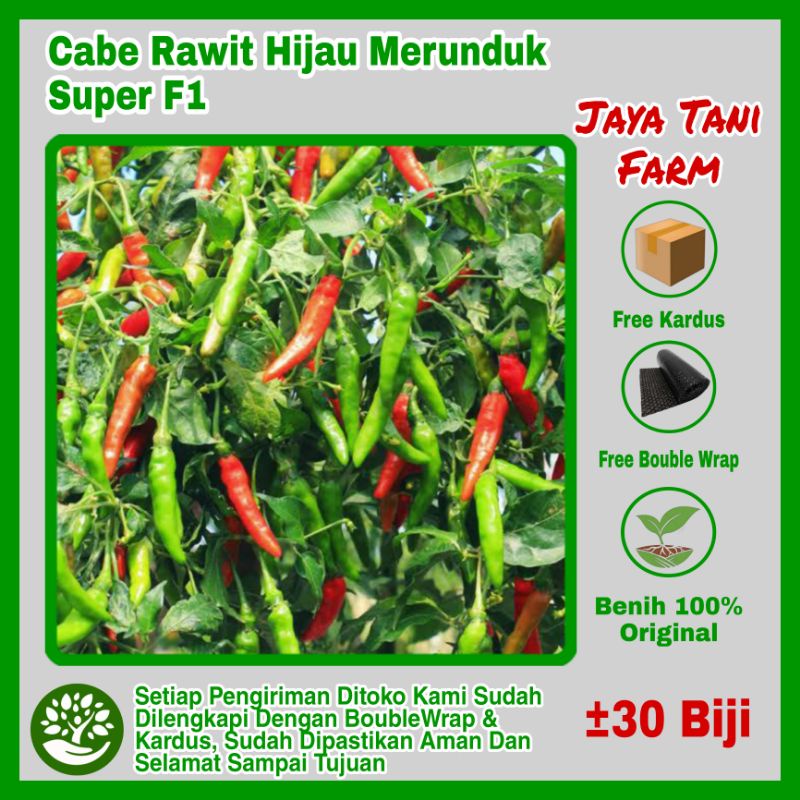 30 Biji Benih Cabe Rawit Merunduk F1 / Cabe Hijau / Benih Sayuran / Bibit Sayuran / Benih Cabe / Bib