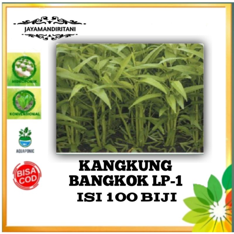 benih kangkung darat/kangkung bangkok LP-1 isi 100 biji
