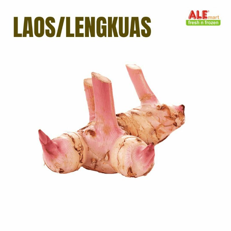 

Laos/lengkuas 500gr, Laos segar, lengkuas segar, Laos / lengkuas