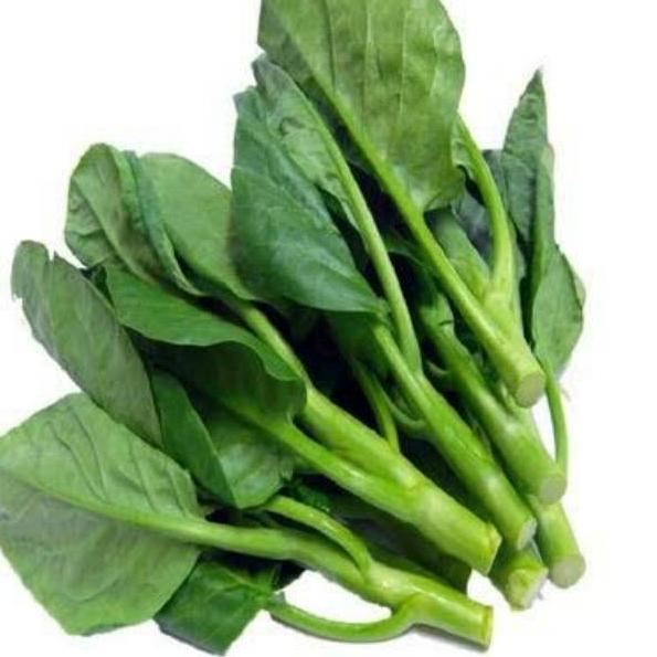 

SERBA MURAH Baby Kailan Pack 500 gram ♬ 865