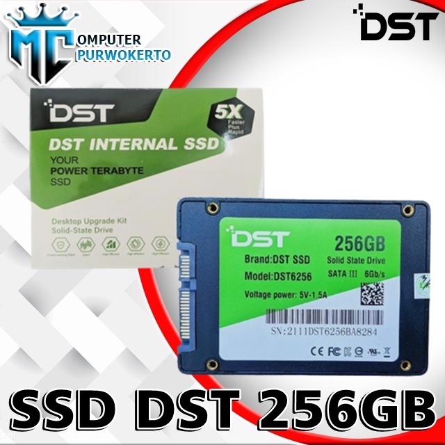 SSD 256GB 2.5inch merk DST garansi resmi 3th