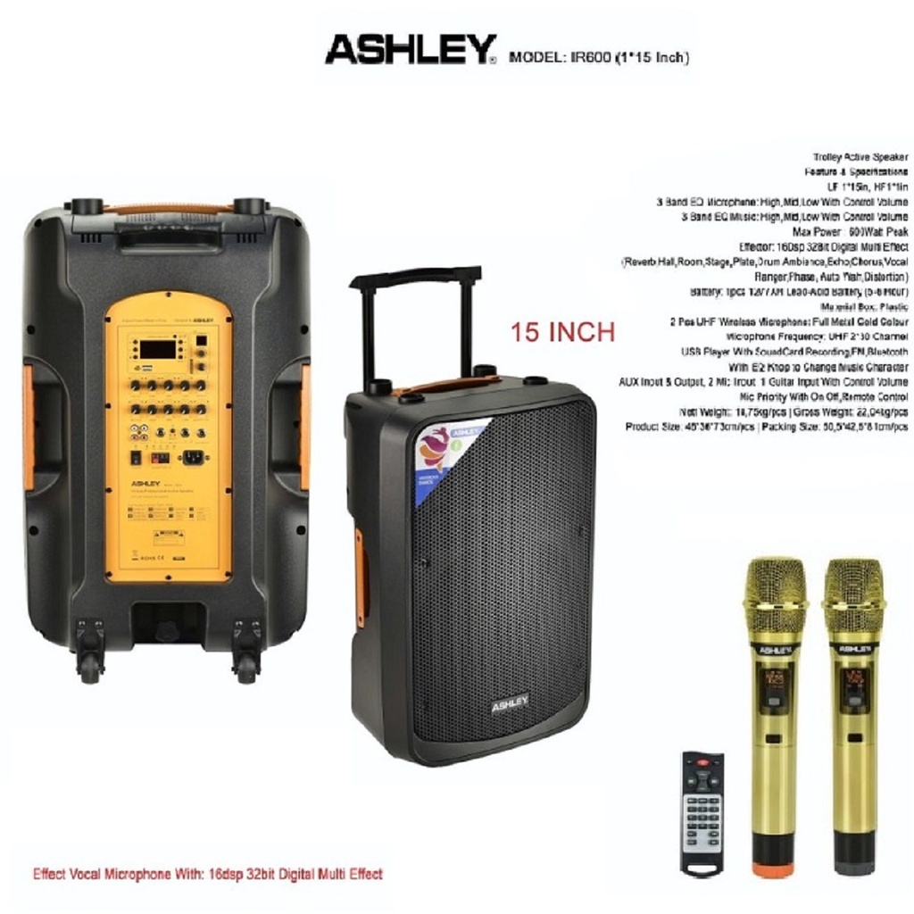 SPEAKER FORTABLE WIRELESS IR600 SPEAKER ASHLEY 15 INCH IR-600