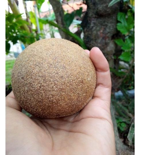 

GoGo Order Buah Kawista 1kg( Isi 2-4 buah ) khas Rembang ITJ9