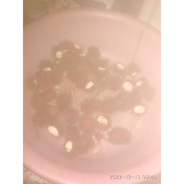 

Rambutan karakan, manis