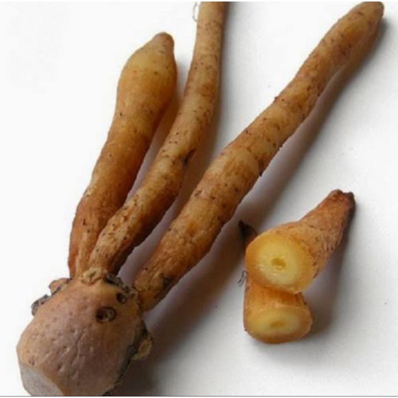 

kunci | temu kunci | rempah | bumbu dapur | 100gr