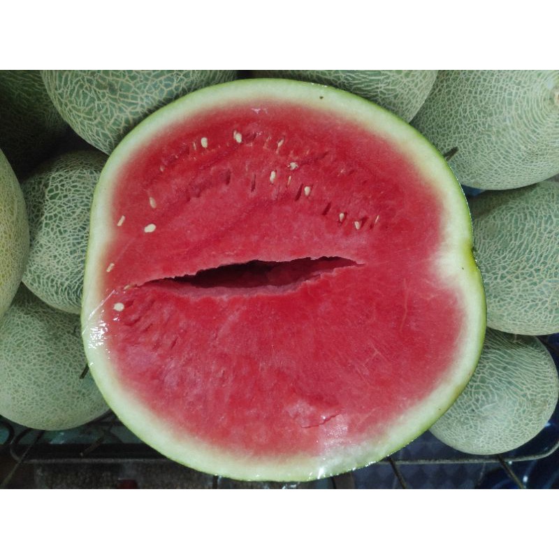 

semangka merah non biji per buah (4kg rata2)