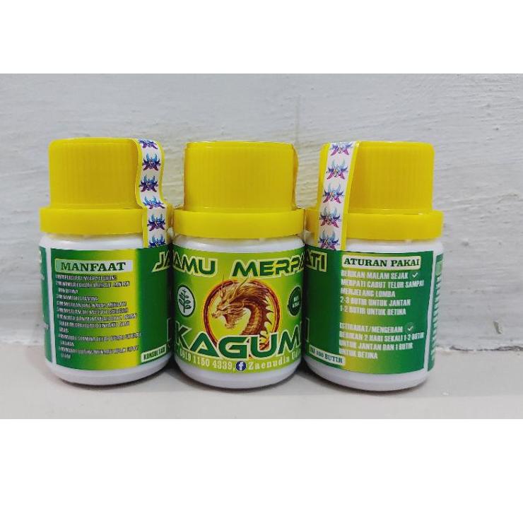 Terbaru jamu merpati kagumi jamu kagumi untuk merpati player merpati lomba