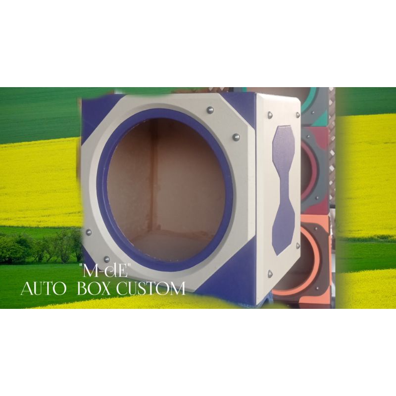 BOX SUBWOFER MOBIL BOX SPEAKER MOBIL BOX AUDIO MOBIL BOX 12" BOX 10" BOX 8" BOX VARIASI MOBIL BOX UN