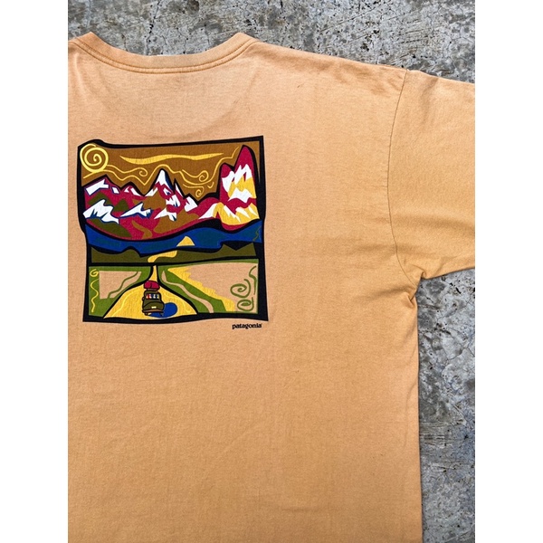vintage rare patagonia
