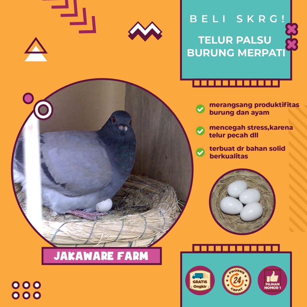 TELUR PALSU BURUNG MERPATI AYAM KATE BAHAN SOLID HEWAN TERNAK TELOR FAKE PIGEON SIMULASI EGG PELIHAR