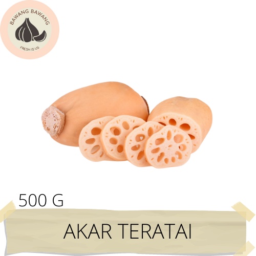 Akar Teratai Lotus Root 500 Gr