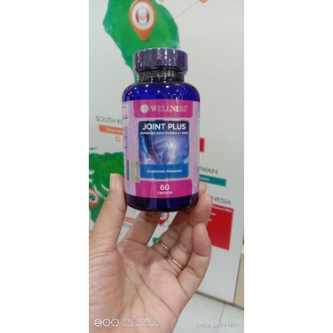 Wellness Joint Plus 60