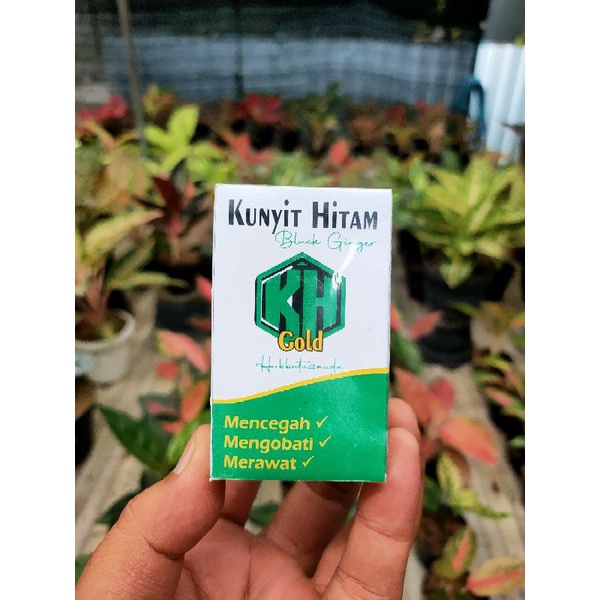 

Kunyit Hitam Gold kapsul 400mg