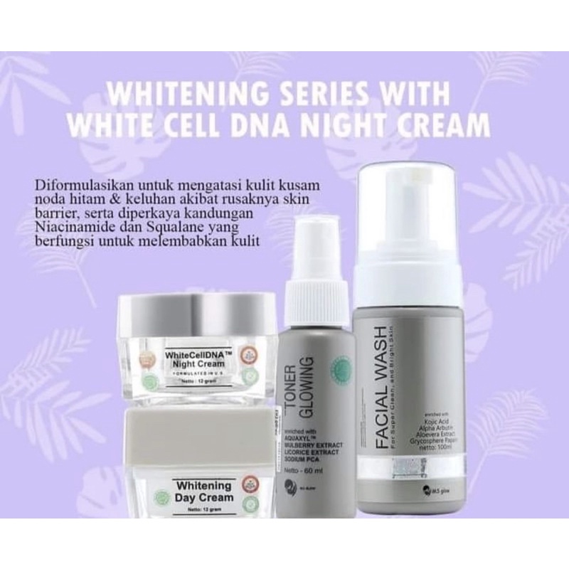 MS GLOW PAKET SALMON DNA