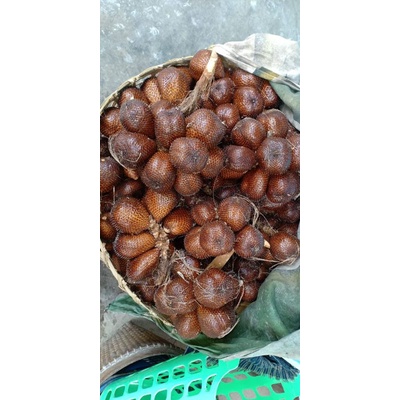 SALAK MADU GRADE A MANIS ASLI SLEMAN