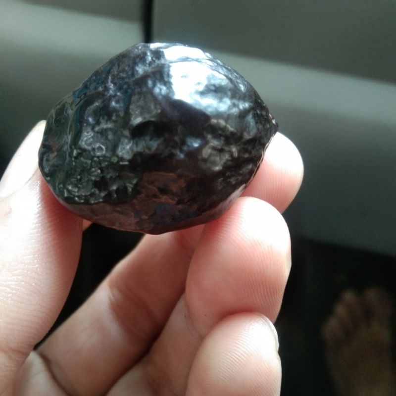 muncang adu jayanti tripel