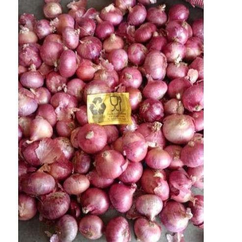 

⇇ bawang merah india 1kg ↶