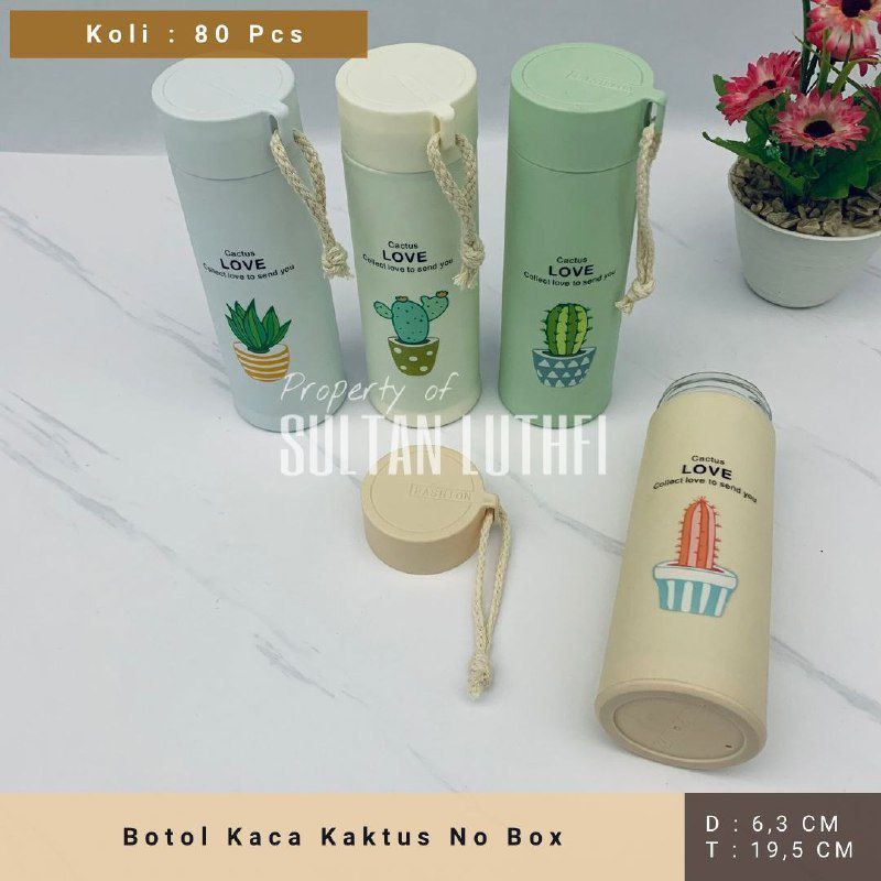 Botol Kaca Kaktus No Box