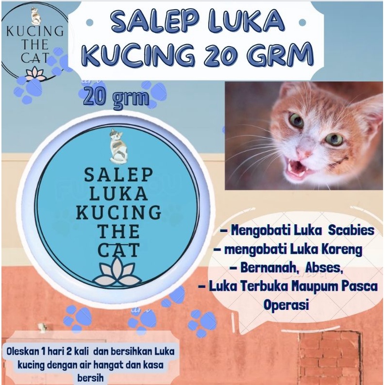 Obat Salep Luka Kucing Anjing - Salep Luka Kucing & Anjing Ampuh