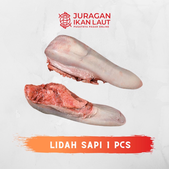 

Lidah Sapi Segar Berkualitas - 1 Kilogram