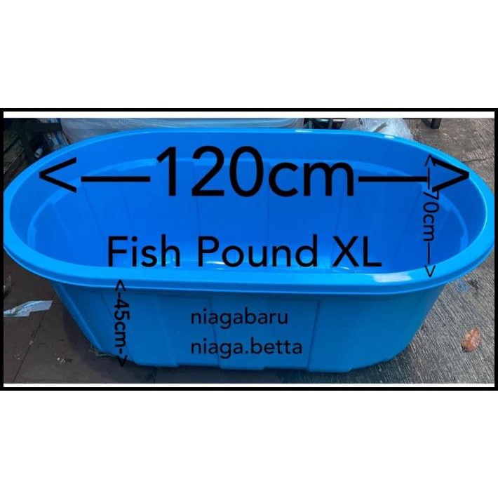 Promo Bak Kolam Ikan Besar Fishpond Taiwan Xl Biru Khusus Gojek Daerah Bogor