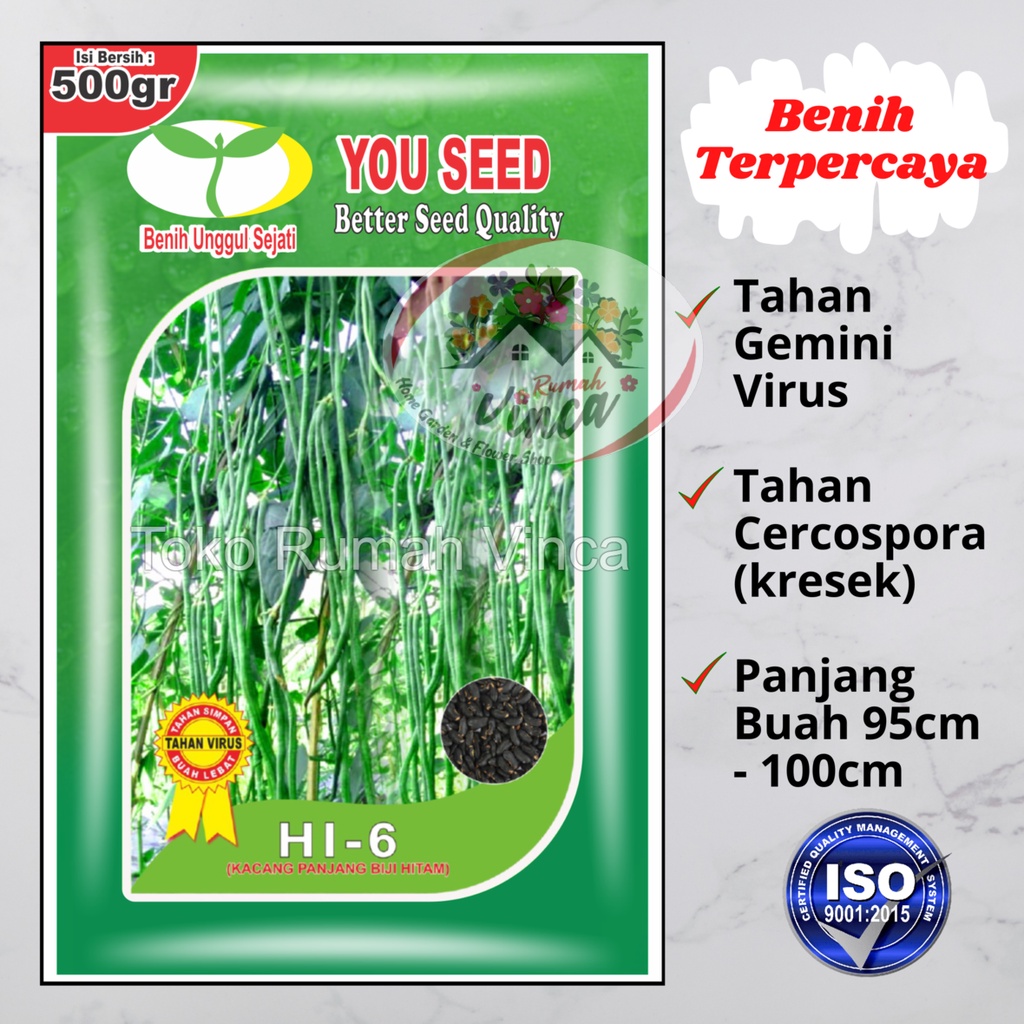 Jual Benih Bibit Kacang Panjang Manis Hi You Seed G Shopee Indonesia