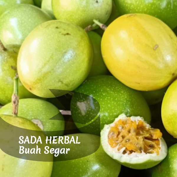 Jual Buah Markisa Saprola Konyal Segar Kg Shopee Indonesia