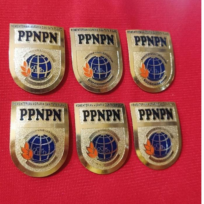 Special pin ppnpn bpn