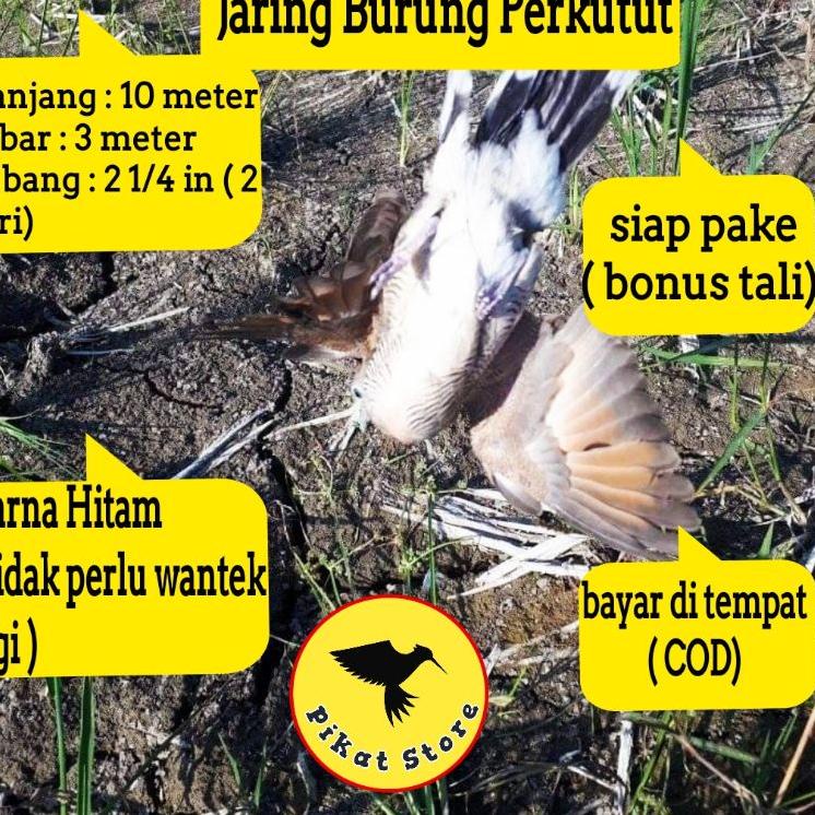 Diskon Terheboh JALA BURUNG PERKUTUT JARENG MANUK KUTOT JEBAKAN BURUNG PERKUTUT JARING BURUNG PERKUT