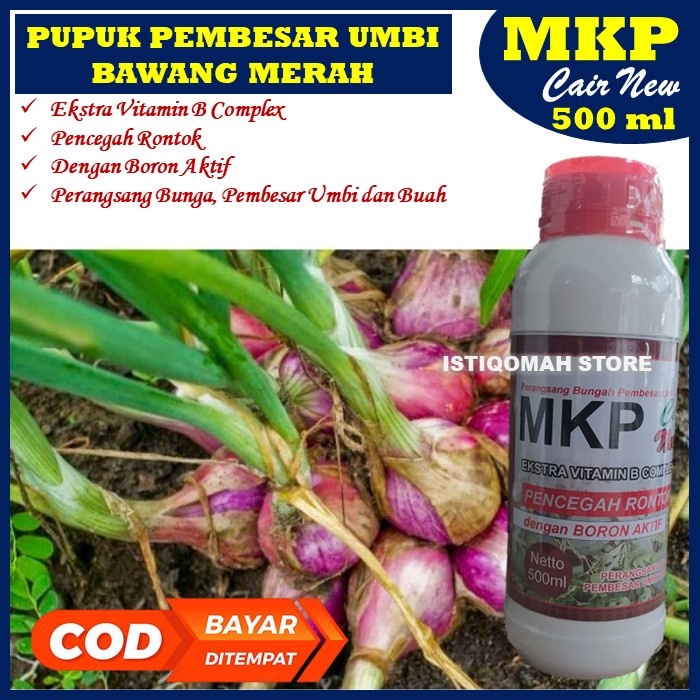 Pupuk Cair Pembesar Umbi Bawang Merah MKP Cair New 500ML Pupuk Pembesar Buah dan Umbi Super Cepat untuk Tanaman Bawang Merah - Pupuk Pembesar Khusus Umbi Bawang Merah Terbaik - Pupuk Semprot Pembesar Umbi Wortel dan Tanaman Umbi Lainnya