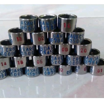 RING BURUNG BAJA KETOK STANDART 21 | CUSTOM CETAK NAMA | MERPATI  NURI DLL