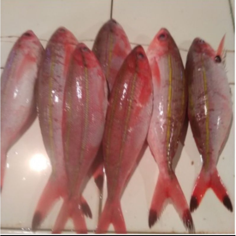 

ikan pisang pisang