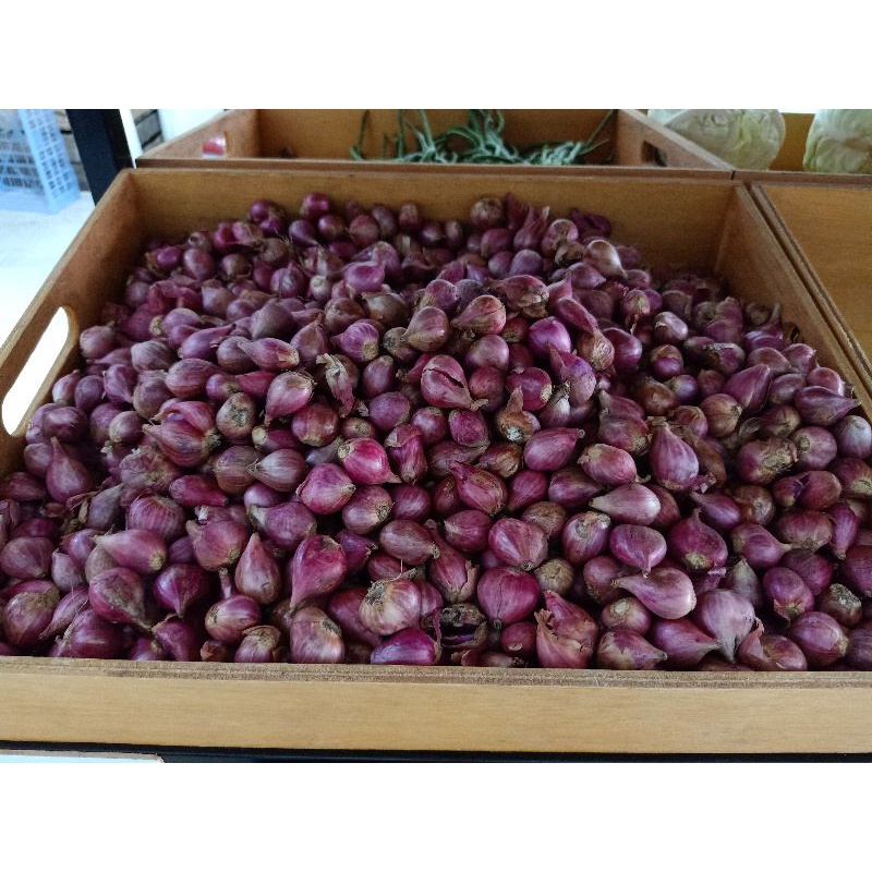 

Bawang Merah 250 gr